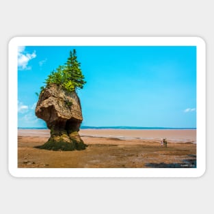Hopewell Rocks, New Brunswick Canada Sticker